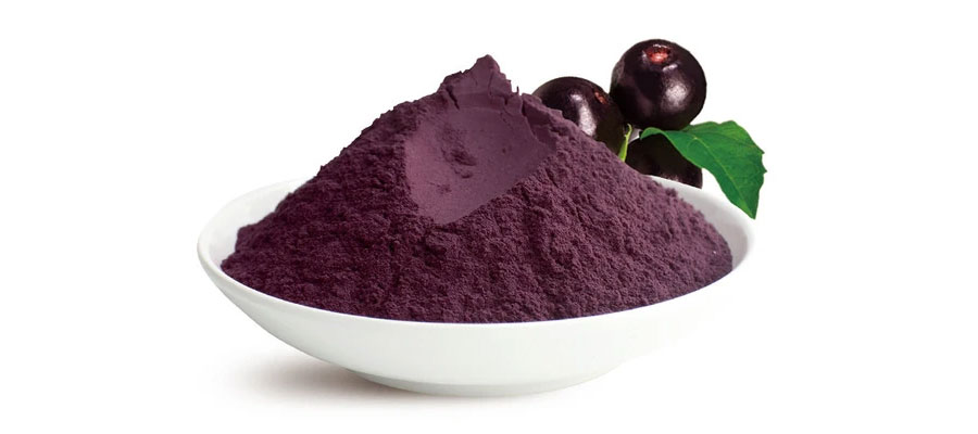 Pó de açaí – um superalimento na palma da sua mão